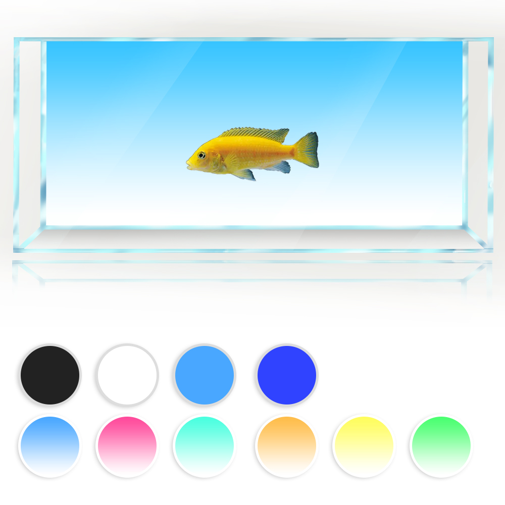 Aquarium Fish Yellow And Black - Fish Tank Background White Yellow Green