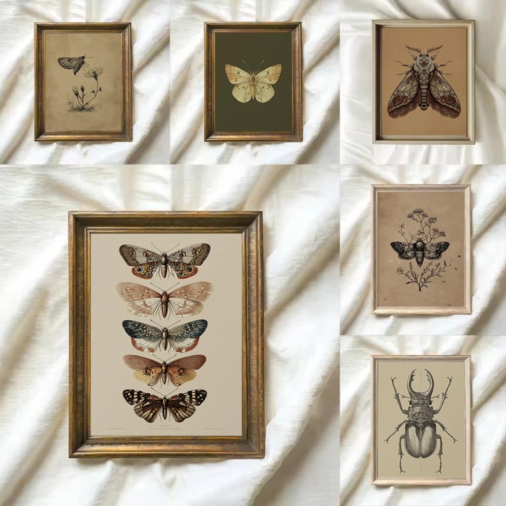 Live Plant Fertilizer - 1pcs Frameless Retro Insect Moth,Butterfly,Beetle Plant