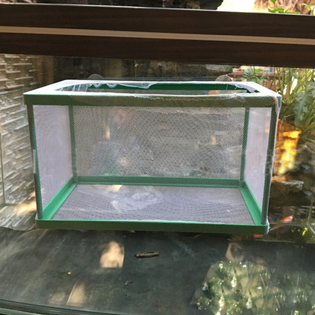 Aquarium Fish Rate - Aquarium Fish Breeding Isolation Box Spawning