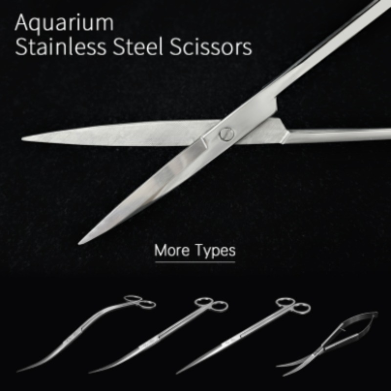 Aquarium Fish Buy - Week Aqua Stainless Steel Aquatic Plant