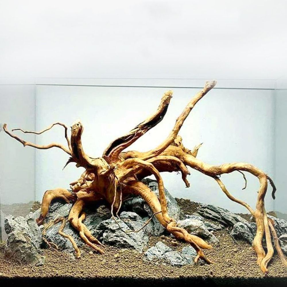 Aquarium Fish Only - 20-25CM Large Aquarium Driftwood Natural Fish