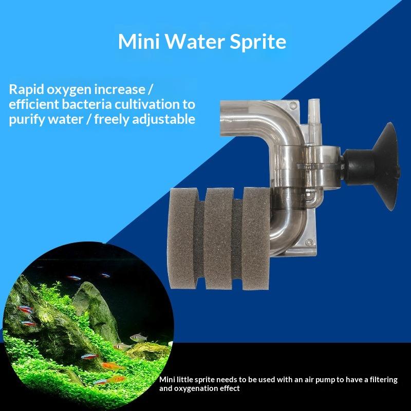 .Hot Sale-Mini Aquarium Sponge - Aquarium Fish For Sale Online recension och pris