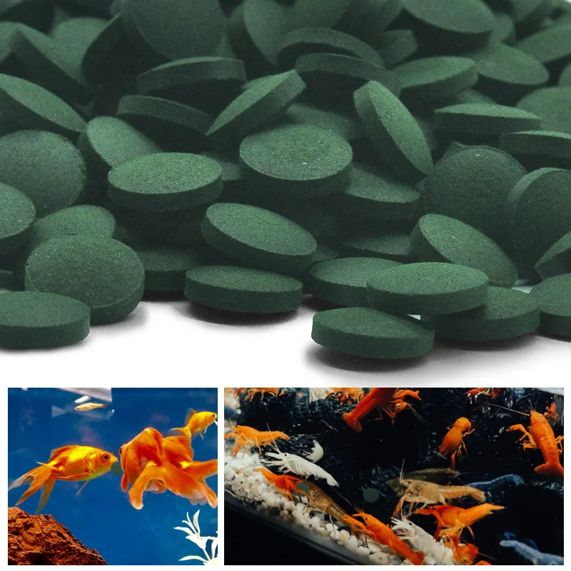 100pcs High Purity Spirulina T - Aquarium Fish Holiday Food recension och pris