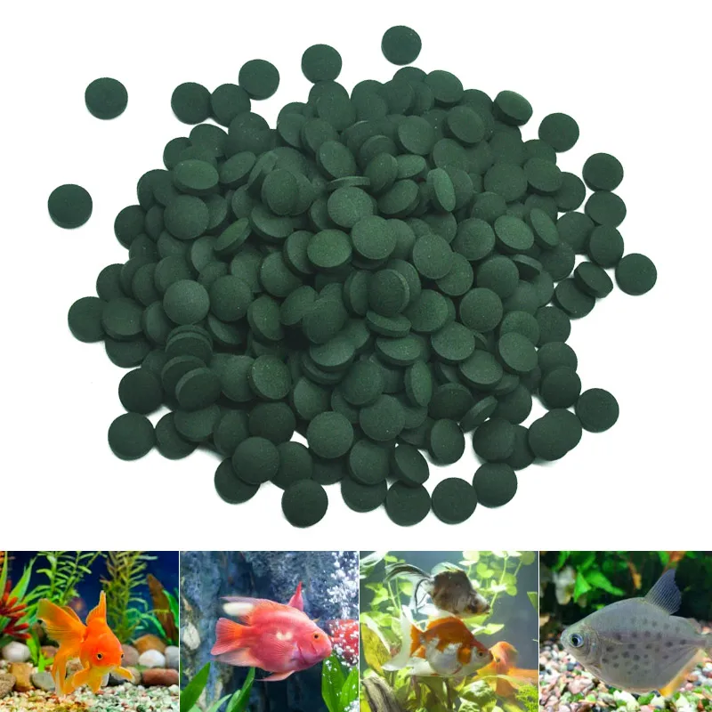100pcs High Purity Spirulina T - Aquarium Fish Holiday Food recension och pris