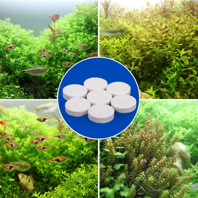 Aquarium Co2 Tablet Carbon Dio - Co2 Diffuser Planted recension och pris