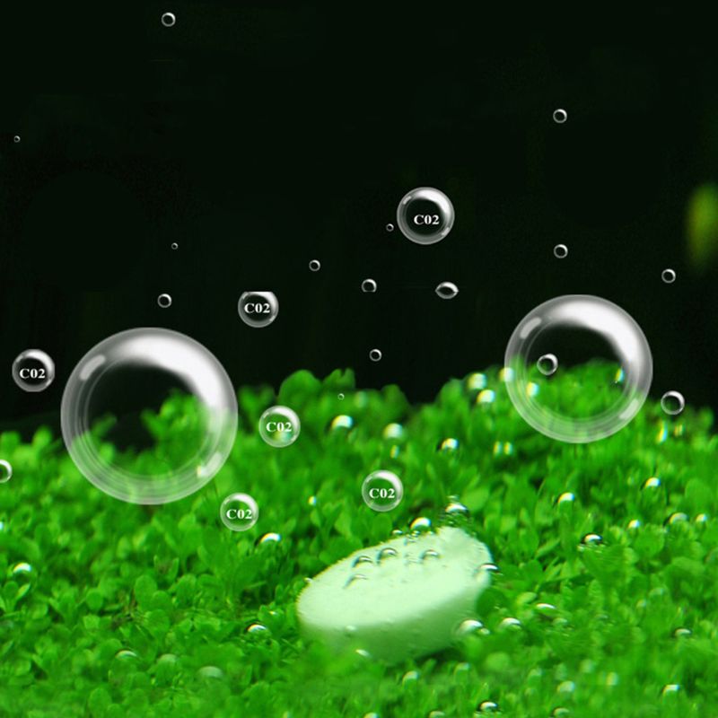 Aquarium Co2 Tablet Carbon Dio - Co2 Diffuser Planted recension och pris