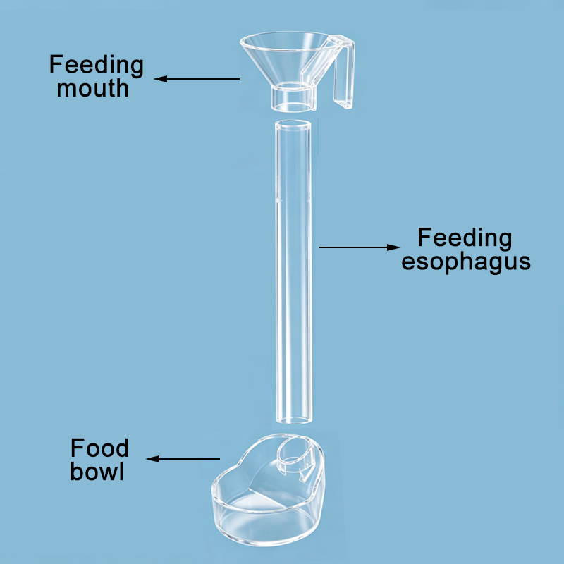Acrylic Aquarium Fish Feeder T - Aquarium Fish Holiday Food recension och pris