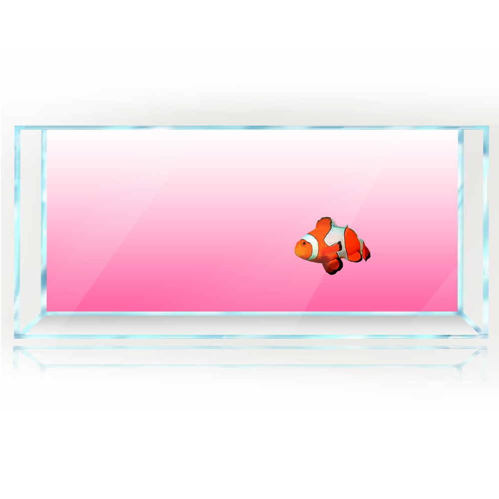 Fish Tank Background White Yel - Aquarium Fish Yellow And Black recension och pris