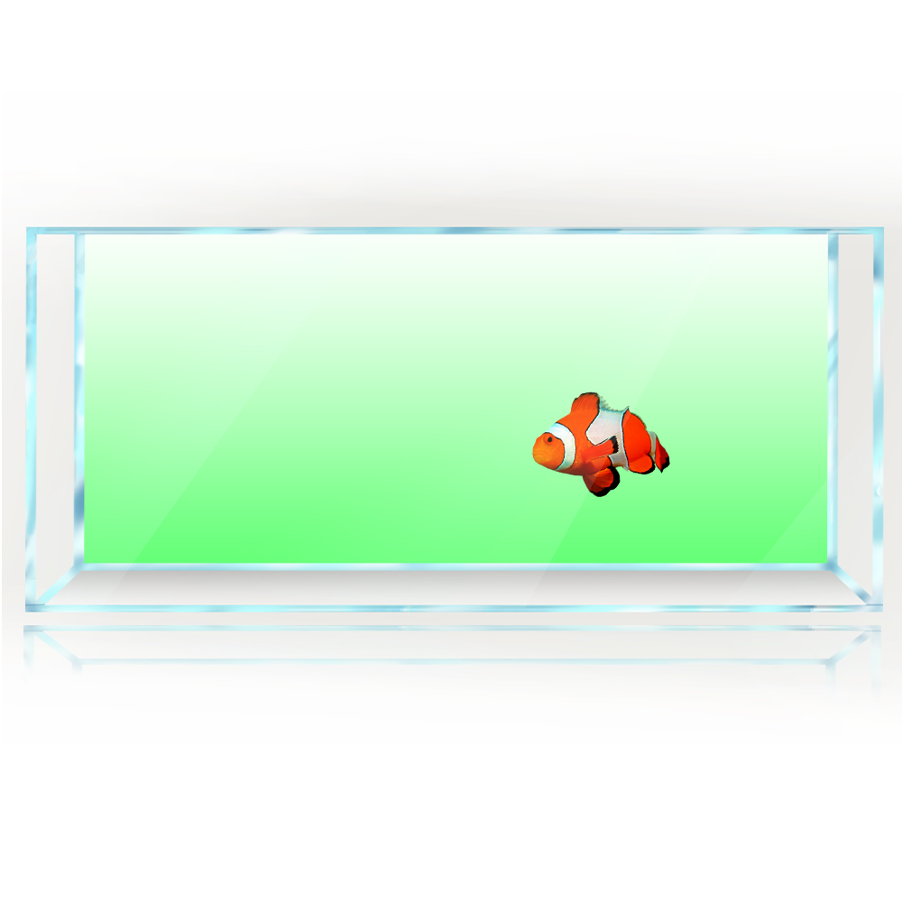 Fish Tank Background White Yel - Aquarium Fish Yellow And Black recension och pris