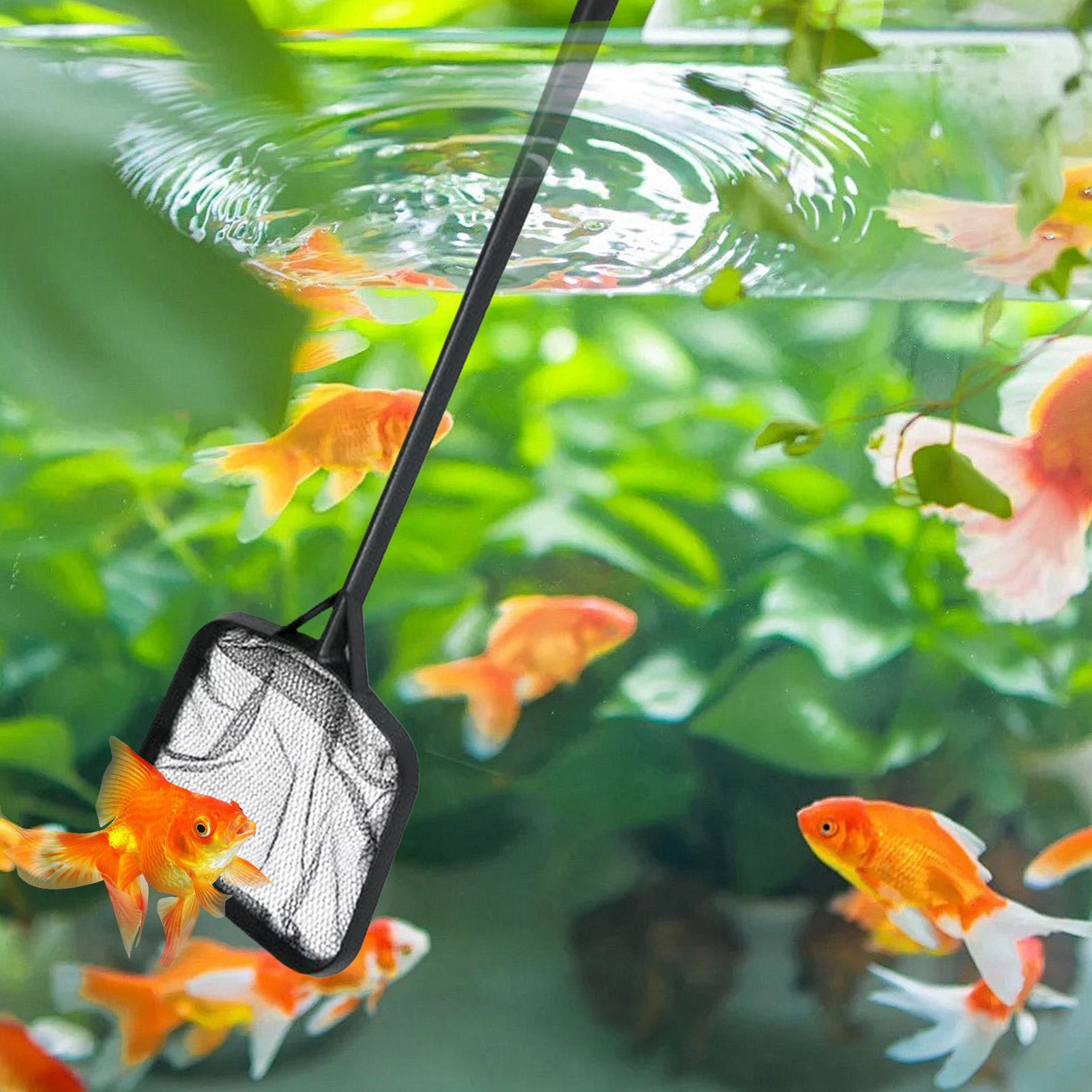 Pool Nets for Cleaning Portabl - Aquarium Fish Buy recension och pris
