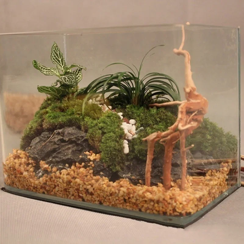Natural Tree Trunk Driftwood A - Aquarium Fish For Sale Online recension och pris