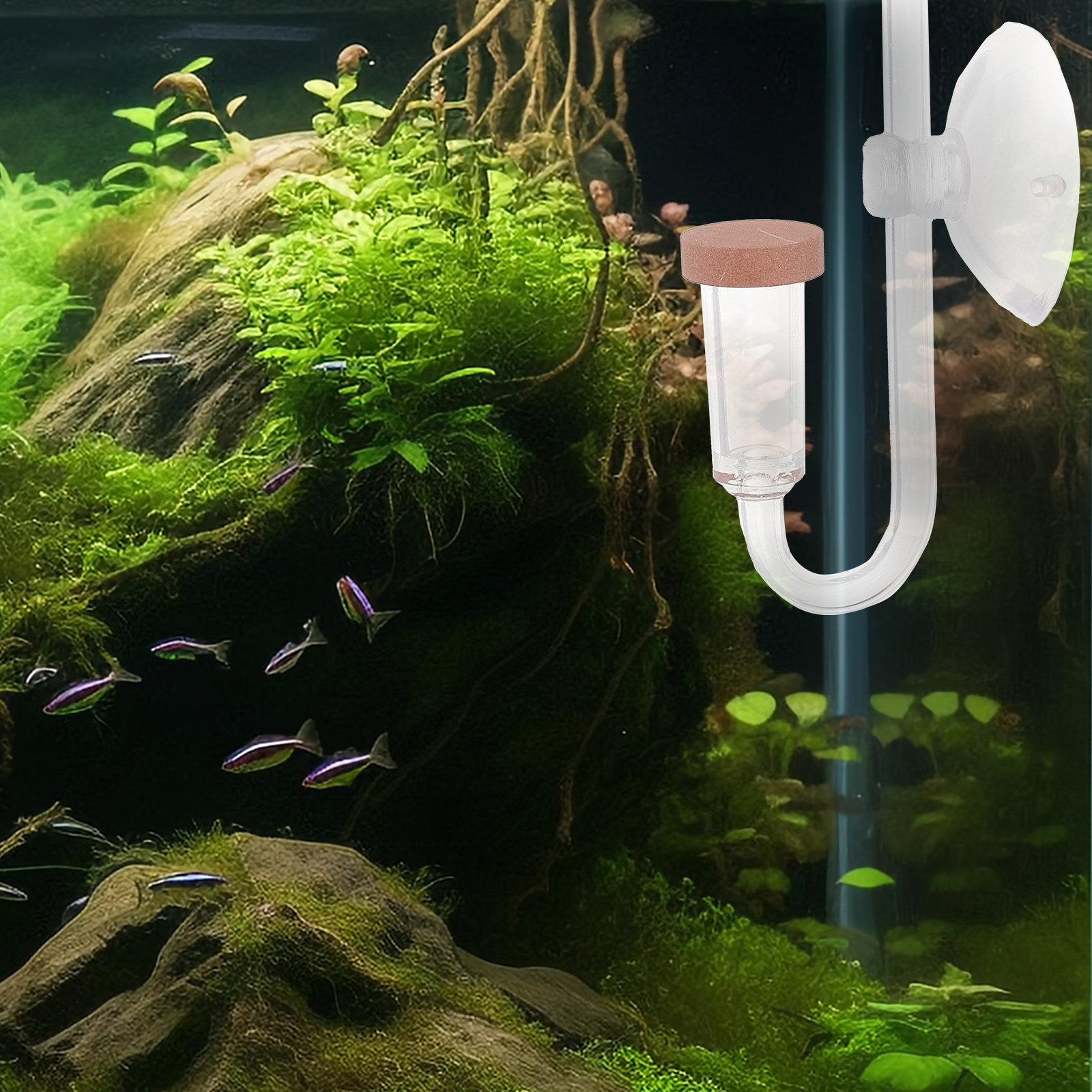 Fish Tank Co2 Refiner Transpar - Aquarium Fish Rate recension och pris