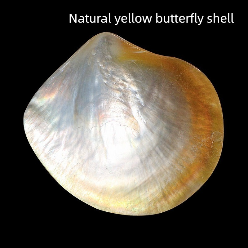 Natural Yellow Butterfly Beibe - Aquarium Fish Yellow recension och pris