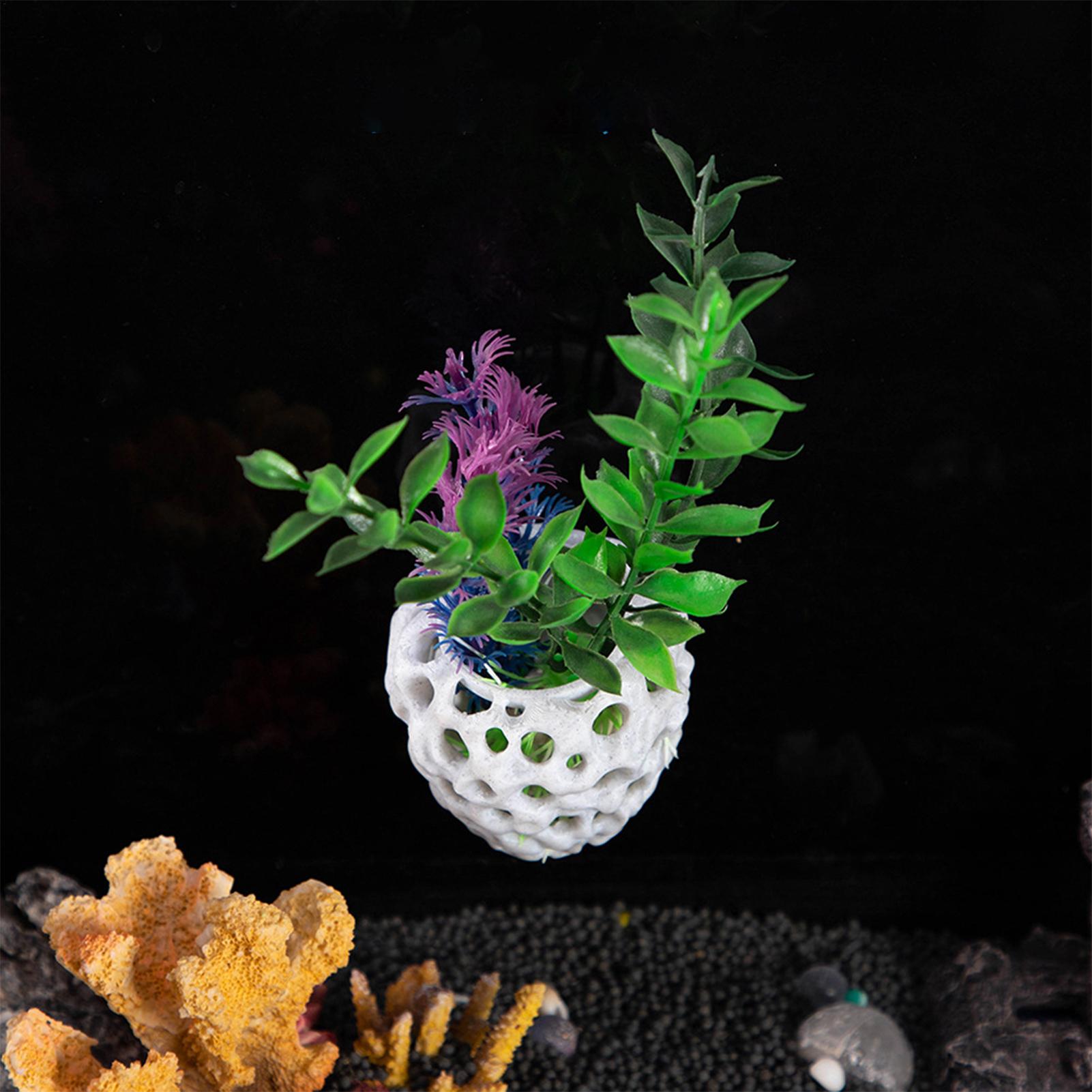 Small Aquarium shrimp house Ca - Aquarium Fish Hiding Spot recension och pris