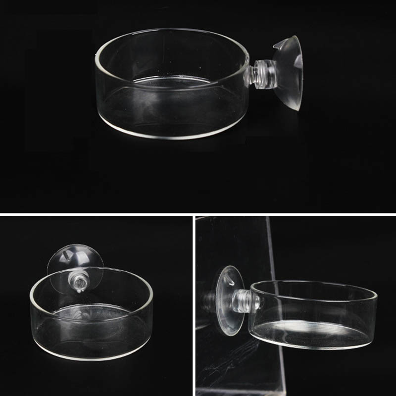 Transparent Acrylic Transparen - Aquarium Fish Holiday Food recension och pris