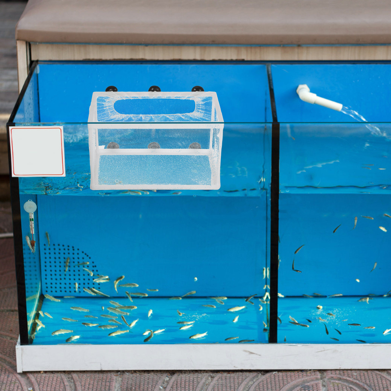 Fish Net Big Size Aquarium Hat - Aquarium Fish Big Size recension och pris