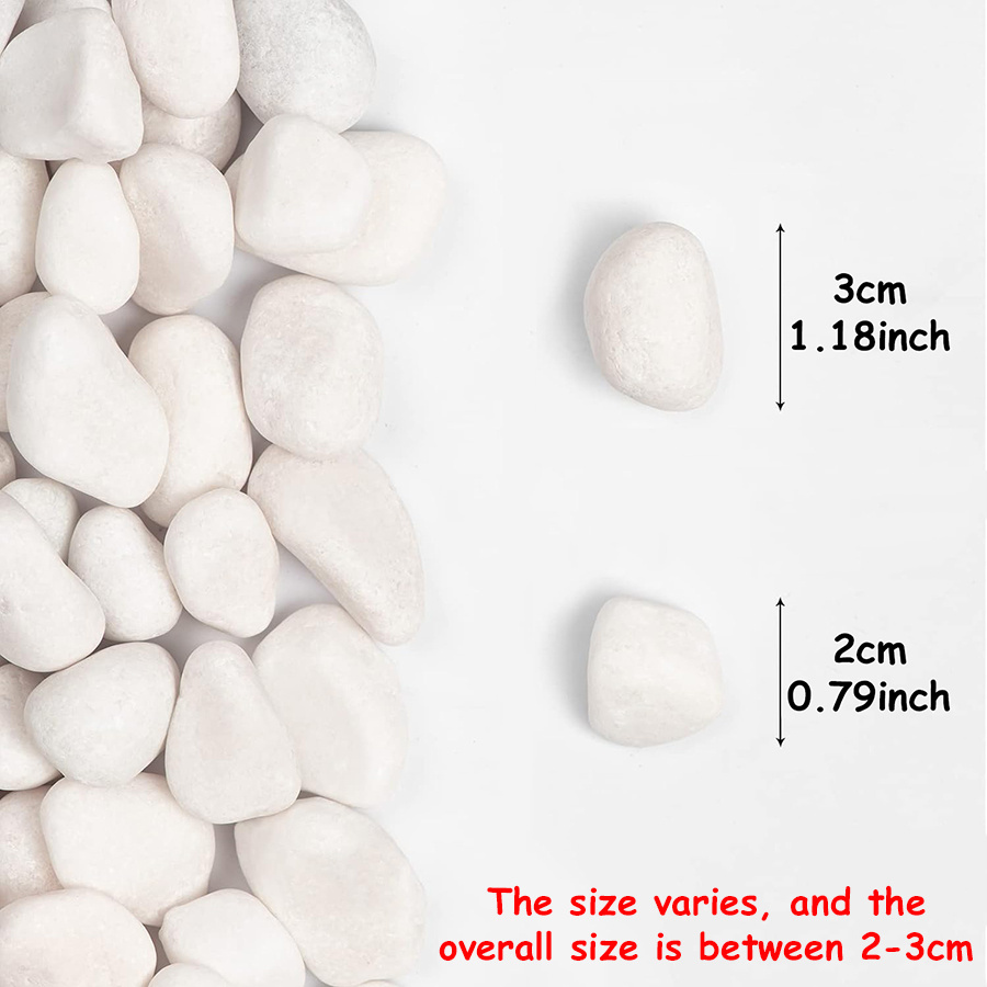 200/400g White High Polished N - Aquarium Fish Only recension och pris