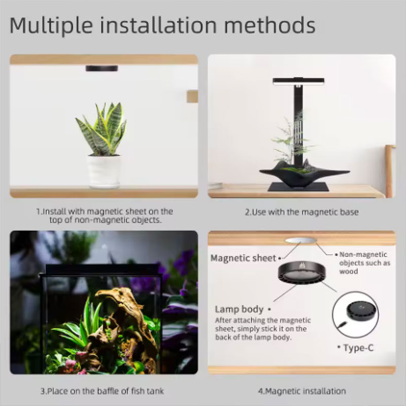 WEEK AQUA Mag Pro Mag Max Nano - Aquarium Fish App recension och pris