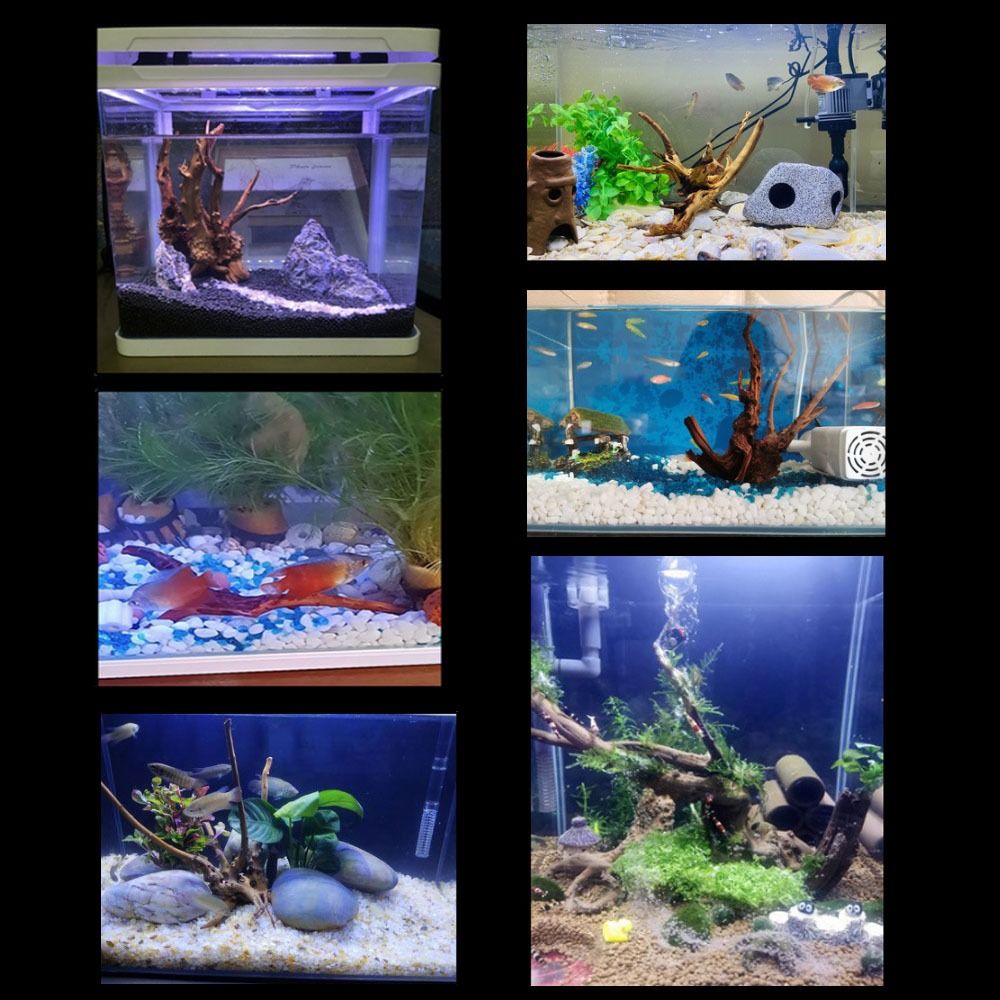 20-25CM Large Aquarium Driftwo - Aquarium Fish Only recension och pris