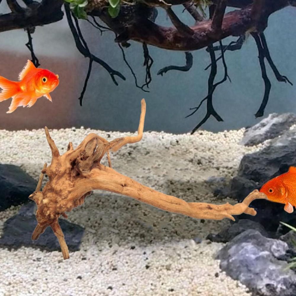 20-25CM Large Aquarium Driftwo - Aquarium Fish Only recension och pris