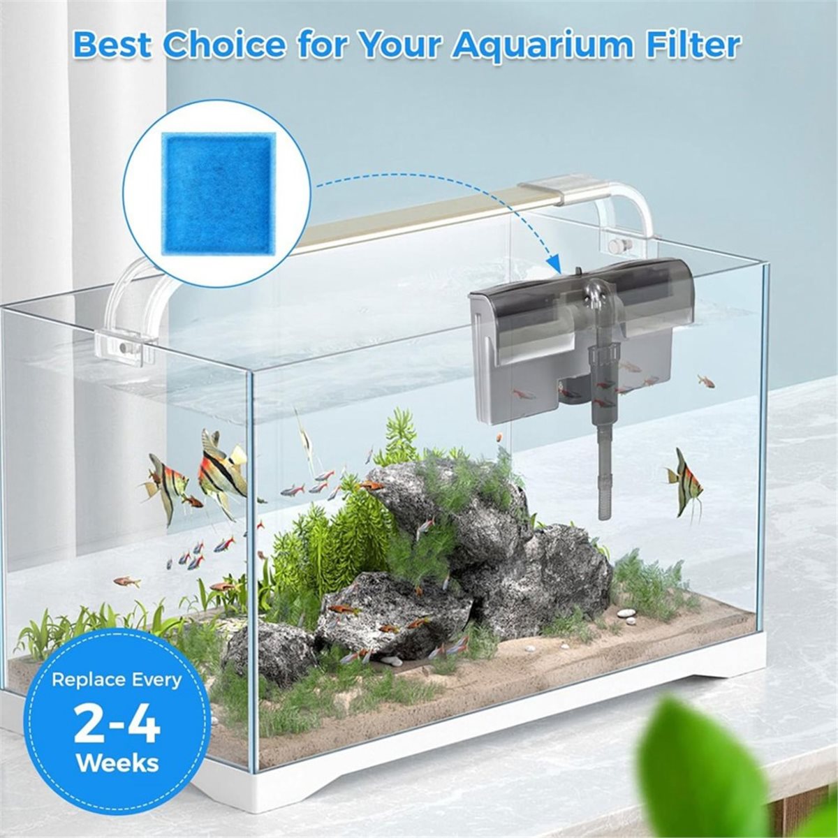 《TOP RATED》10 Pcs Aquarium Fil - Aquarium Fish Rate recension och pris