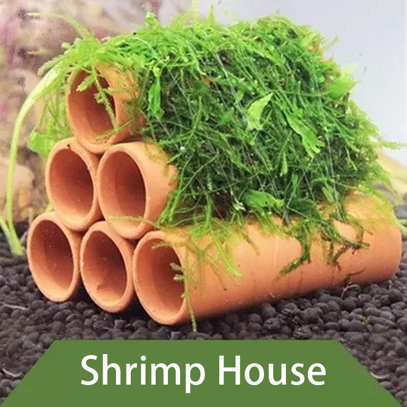 Clay Aquarium Decoration Fish  - Aquarium Fish Only recension och pris