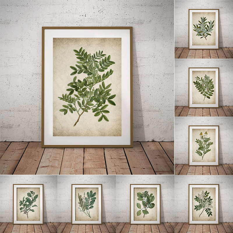 Vintage Green Leaf Botanical P - Live Plant Fertilizer recension och pris