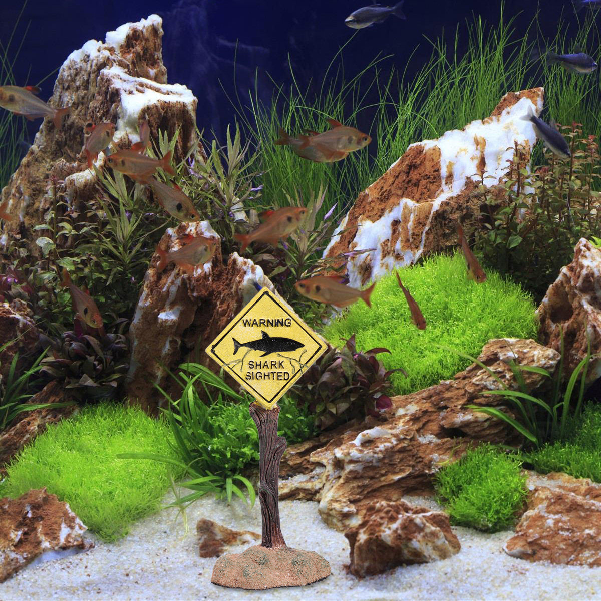 Cartoon Resin Fish Tank Warnin - Aquarium Fish Yellow recension och pris