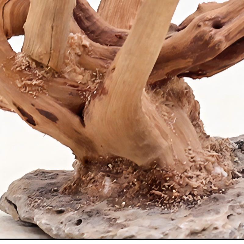 1PC Aquarium Landscaping Wood  - Aquarium Fish For Sale Online recension och pris