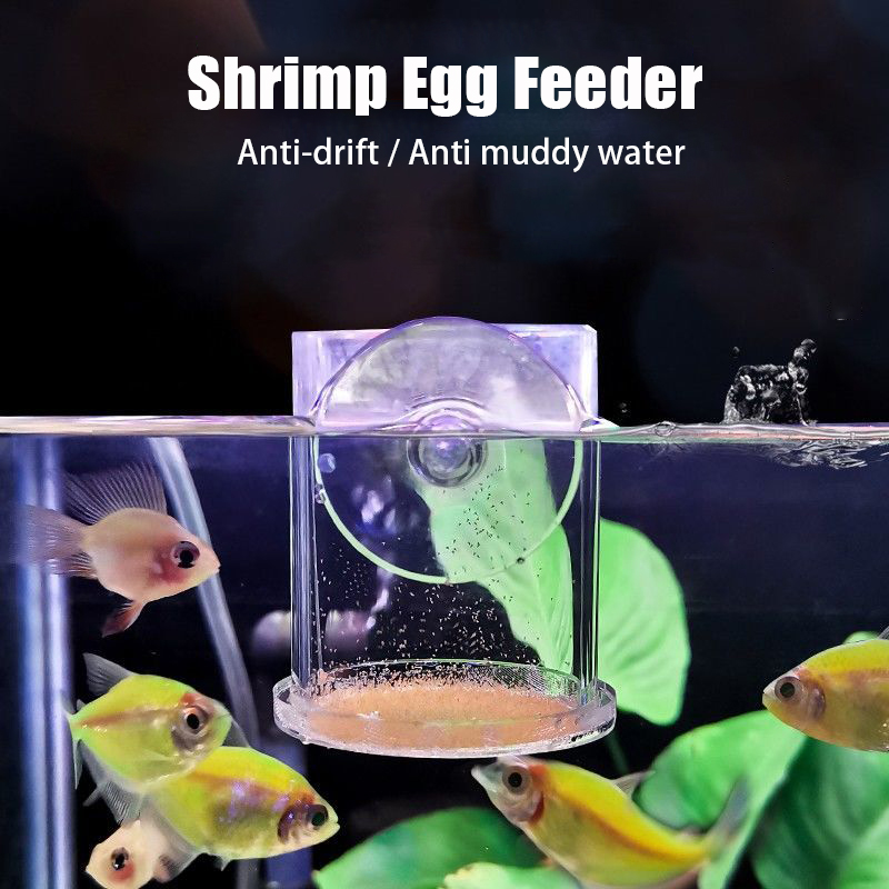 Transparent Arcylic Aquarium F - Aquarium Fish Holiday Food recension och pris