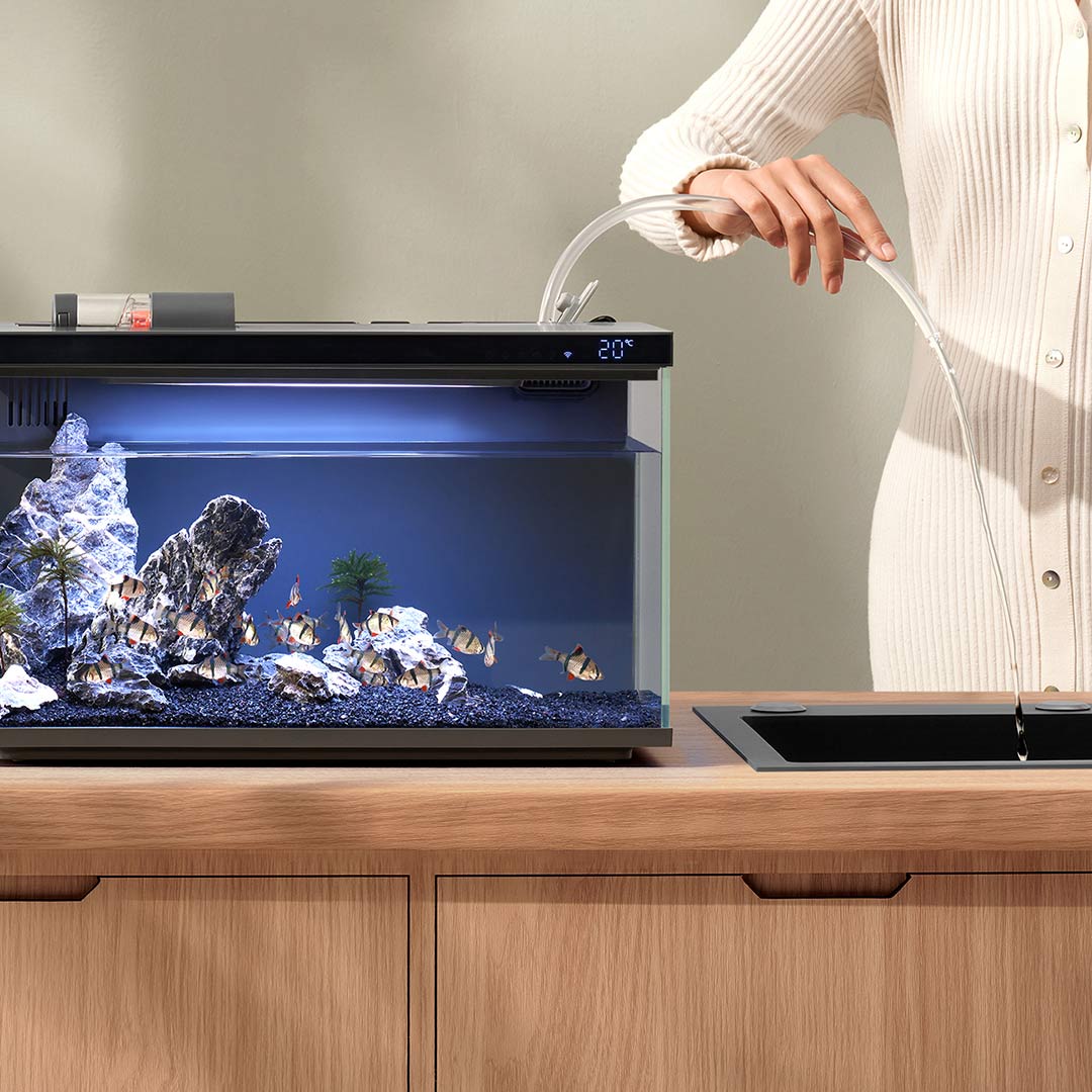 Xiaomi Mijia Smart Fish Tank M - Aquarium Fish App recension och pris