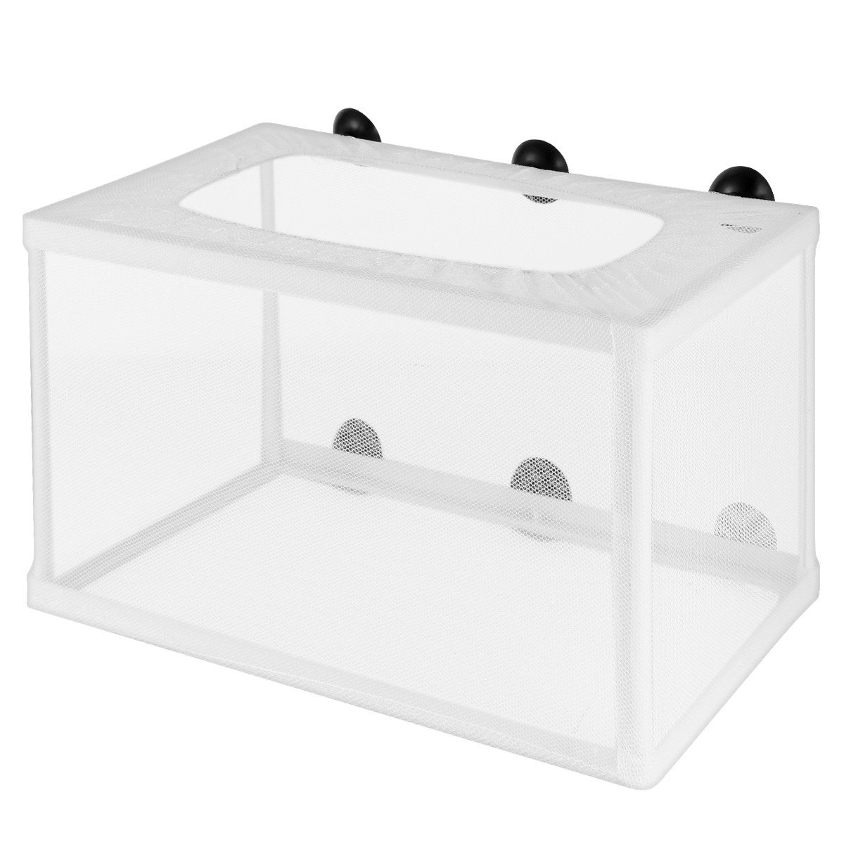 Fish Net Hatchery Aquarium Inc - Aquarium Fish Big Size recension och pris