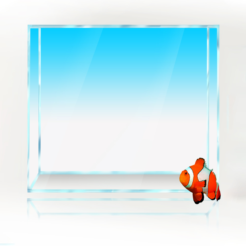 Square Fish Tank Background Wh - Aquarium Fish Yellow And Black recension och pris