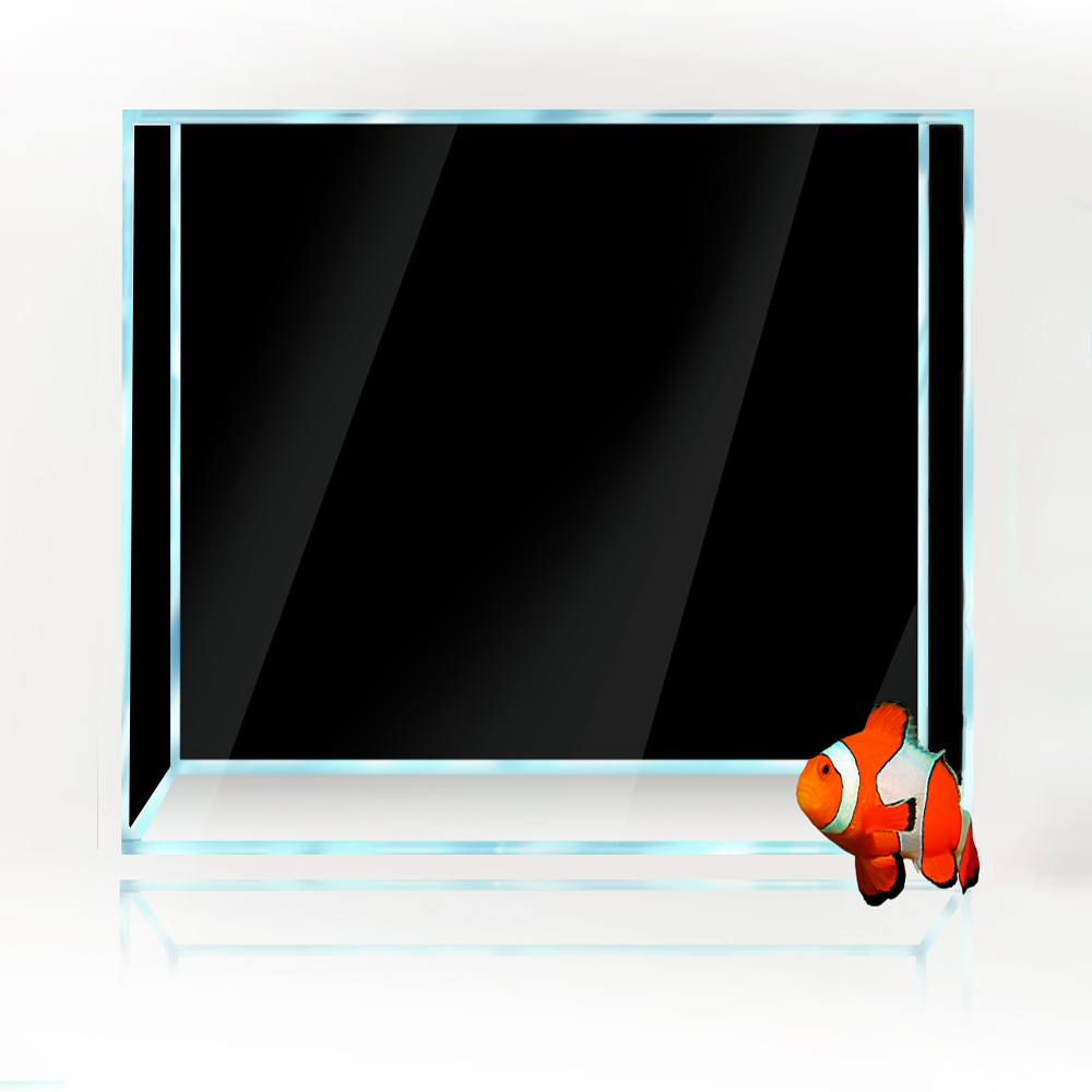 Square Fish Tank Background Wh - Aquarium Fish Yellow And Black recension och pris
