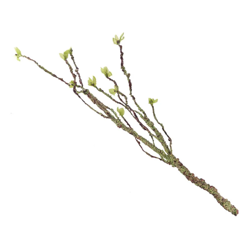 Vines Decor Climbing Branches  - Aquarium Fish Only recension och pris