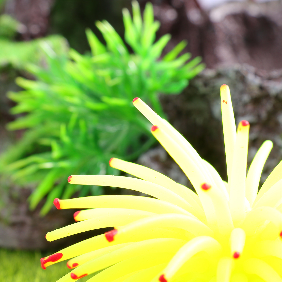 Simulation Sea Urchins Yellow  - Aquarium Fish Yellow recension och pris