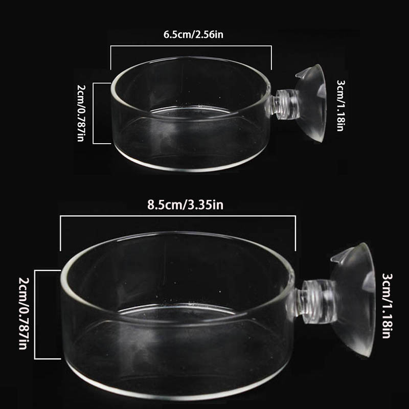 Transparent Acrylic Transparen - Aquarium Fish Holiday Food recension och pris